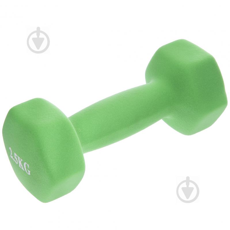 Гантелі для фітнесу SP-Planeta Веселка TA-0001-2_5 2,5 Салатовий Гантелі для фітнесу SP-Planeta Веселка TA-0001-2_5 2,5 Салатовий