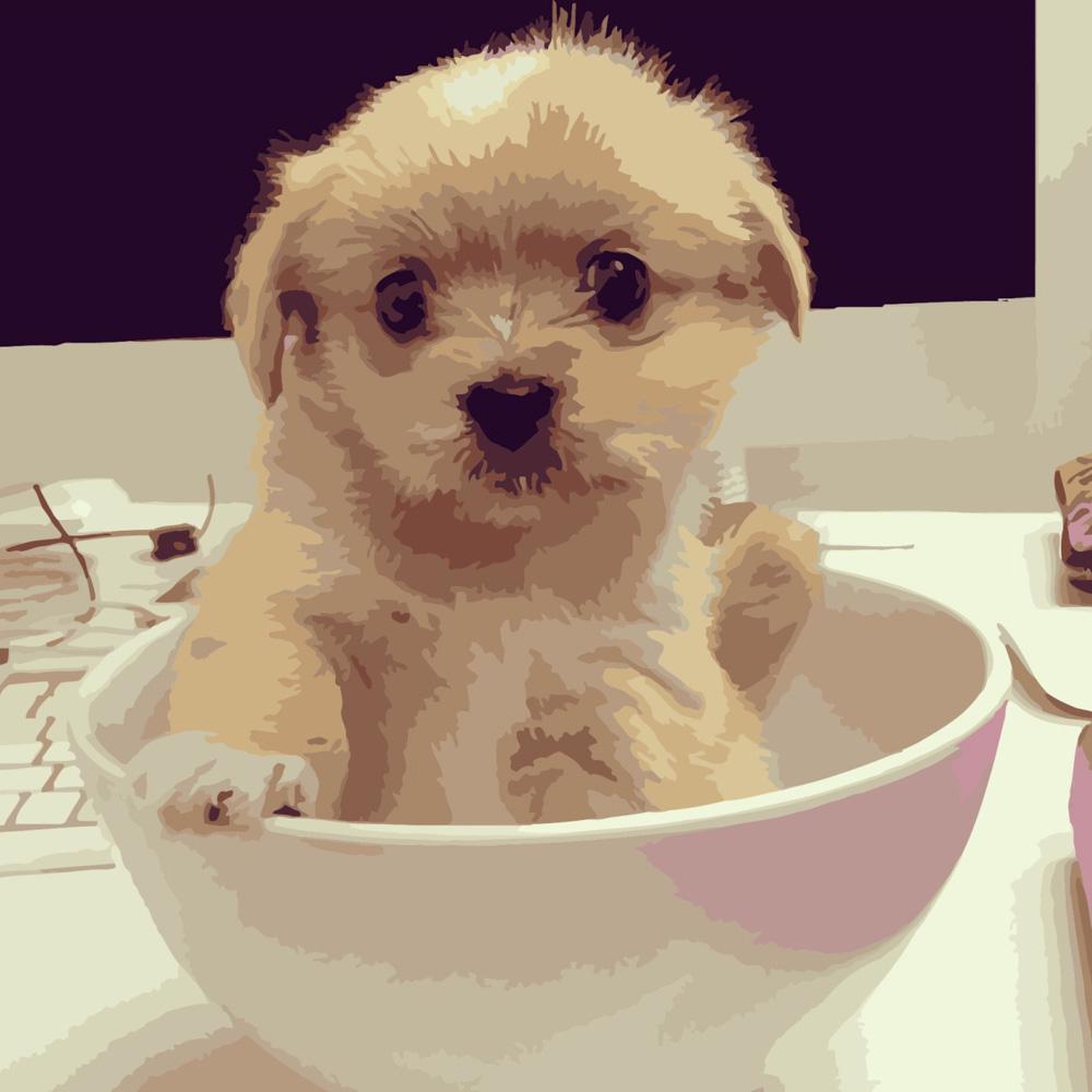 Картина по номерам Strateg Премиум Песик в чашке 40х40 см (SK050)