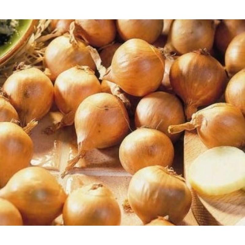 Семена Лук Шалот Голден Гурме озимая 300 г