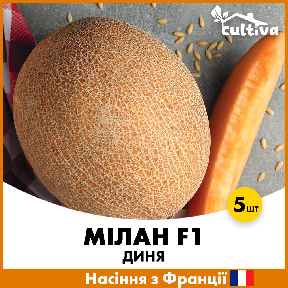 Семена дыни Clause Милан F1 5 шт. (R51055)