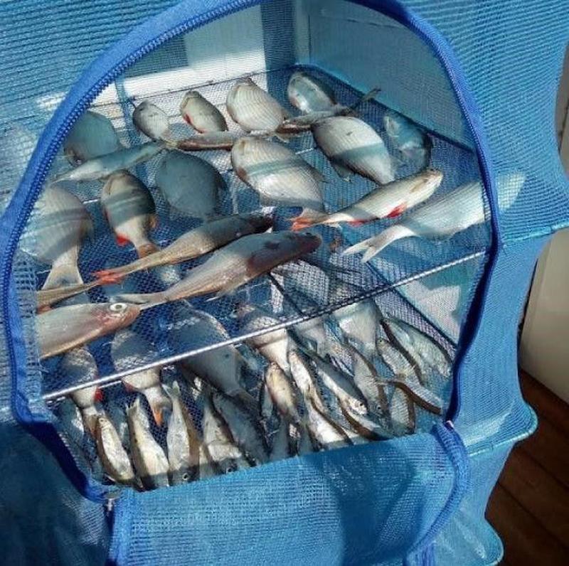 Сетка для сушки рыбы Easyall Easyall1 RA 8811 45x45x100 см 5 полок Синий - фото 4