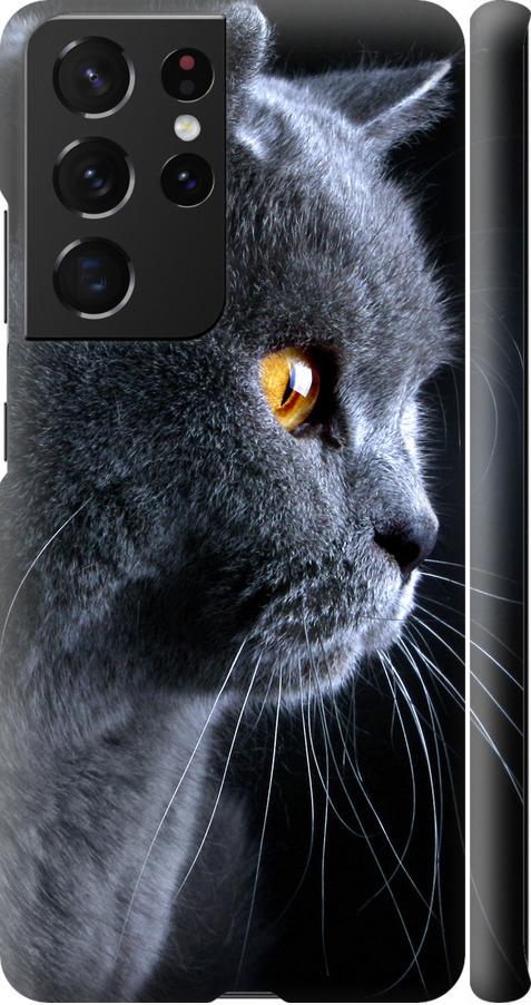 Чехол на Samsung Galaxy S21 Ultra Красивый кот (3038m-2116-42517) Чехол на Samsung Galaxy S21 Ultra Красивый кот (3038m-2116-42517)
