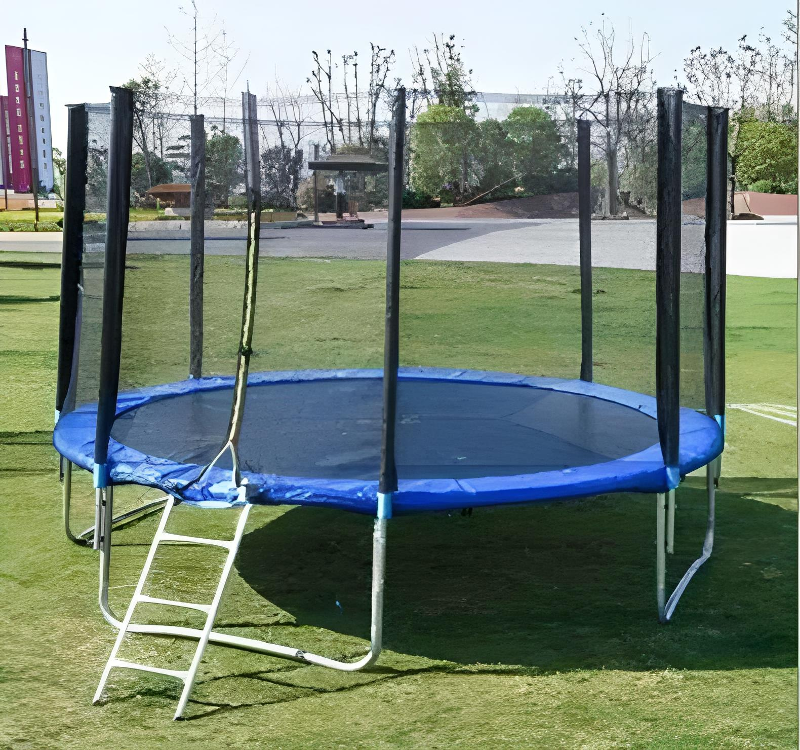 Батут с сеткой и лестницей TK Sport В-30306 D 306 см (11638679) Батут с сеткой и лестницей TK Sport В-30306 D 306 см (11638679)