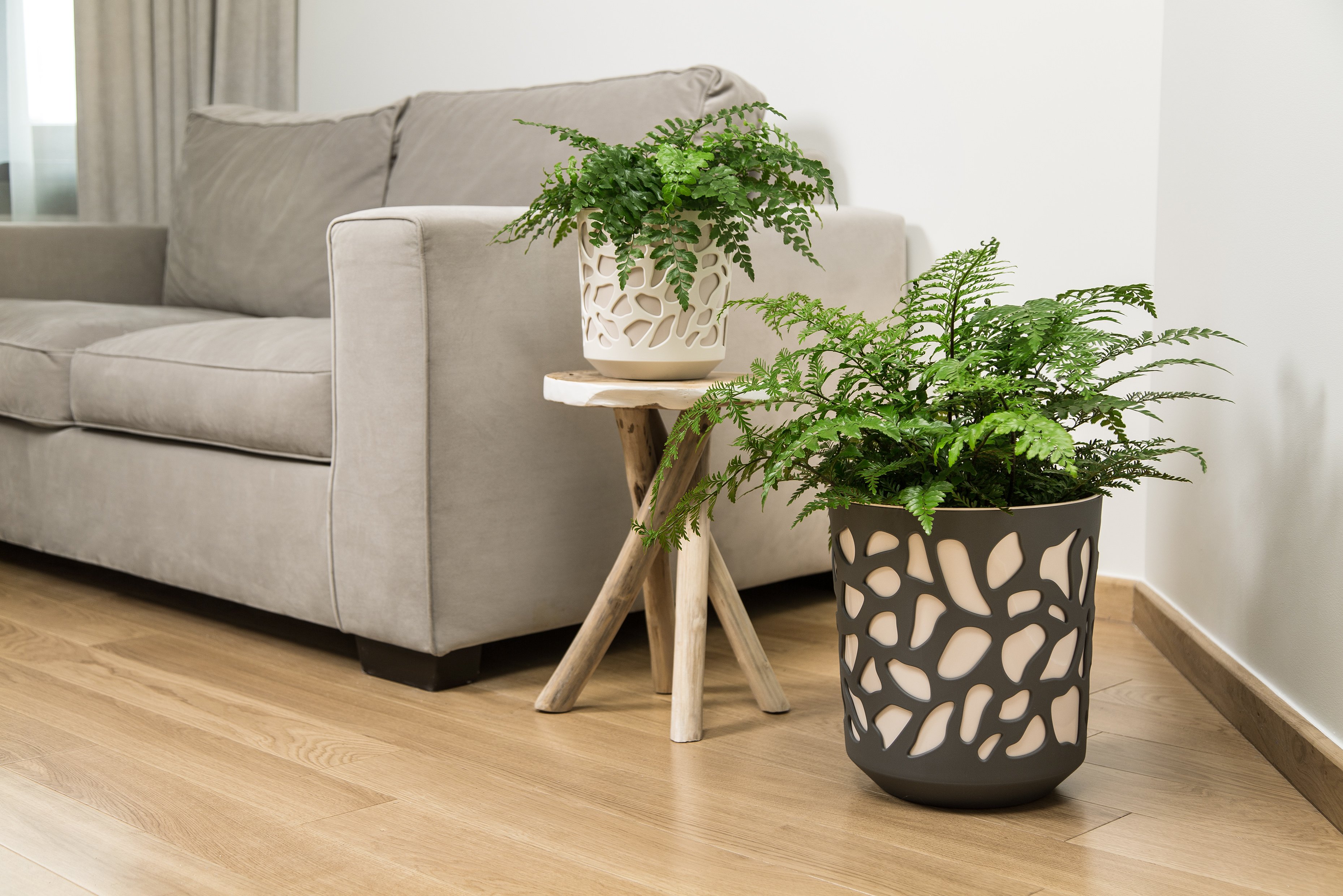 Кашпо Lamela Дует 20х19 см 4 л Кремовий з Антрацитовою вставкою (000006083) - фото 2 Кашпо Lamela Дует 20х19 см 4 л Кремовий з Антрацитовою вставкою (000006083) - фото 2