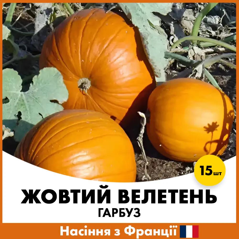Насіння гарбузу GSN Жовтий Велетень 15 шт. (G2400248-15)