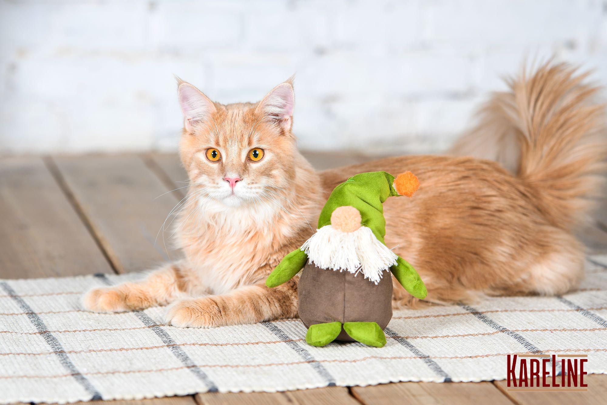 Игрушка для животных KareLine Гном 19х20х6 см (33042) - фото 3