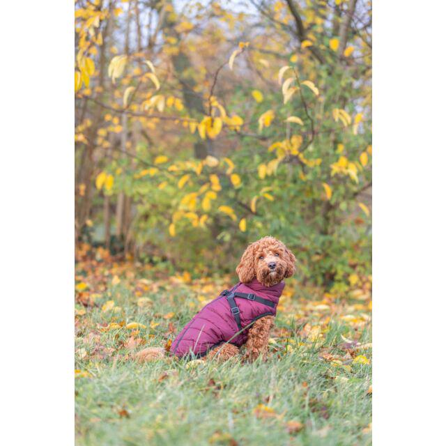 Попона для собак зимова Trixie Pirou зі шлейкою S 33 см Сангрія (TX-680393) - фото 5 Попона для собак зимова Trixie Pirou зі шлейкою S 33 см Сангрія (TX-680393) - фото 5