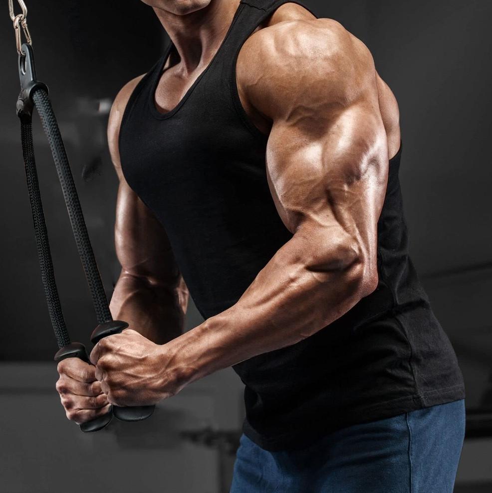 Ручка для тренировки трицепса (635301755) - фото 9