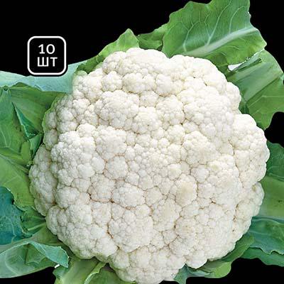 Семена Капуста Florium цвітна Опал (8562) Семена Капуста Florium цвітна Опал (8562)