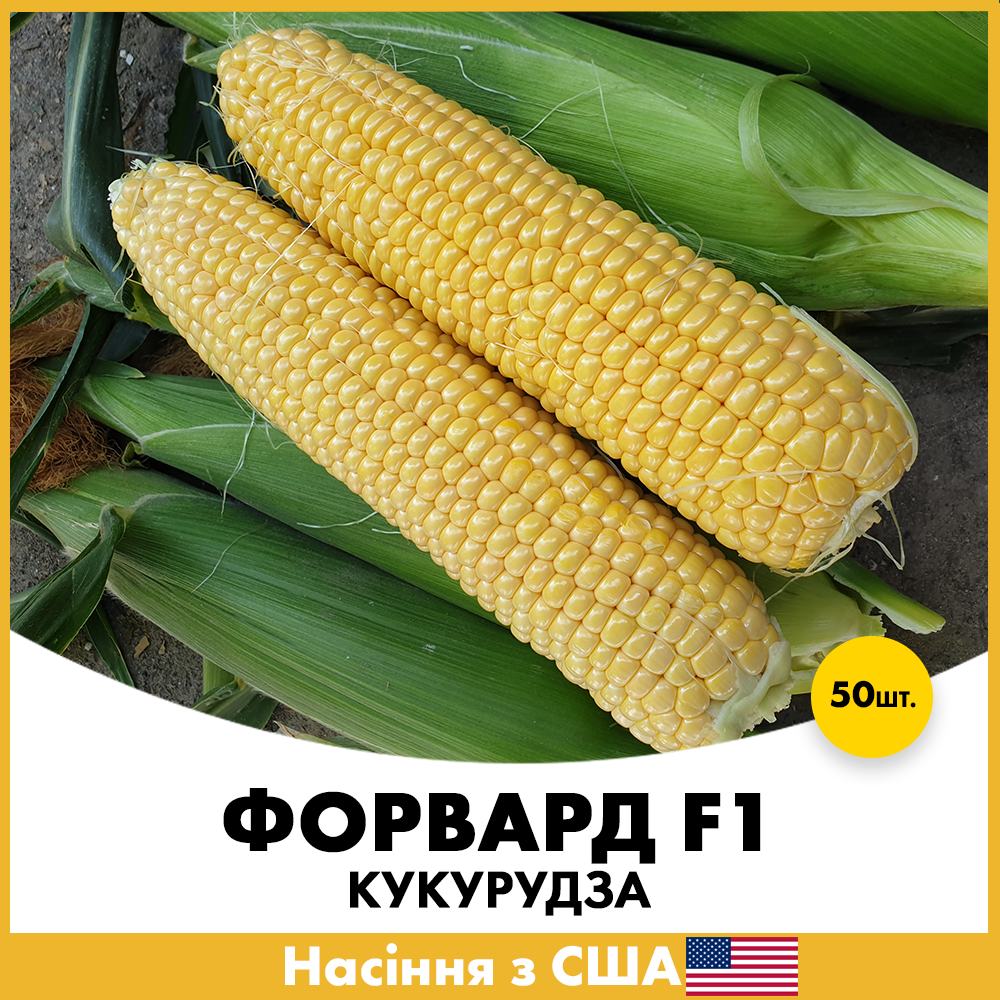 Семена кукурузы Spark Seeds Форвард F1 50 шт. (jkl19)
