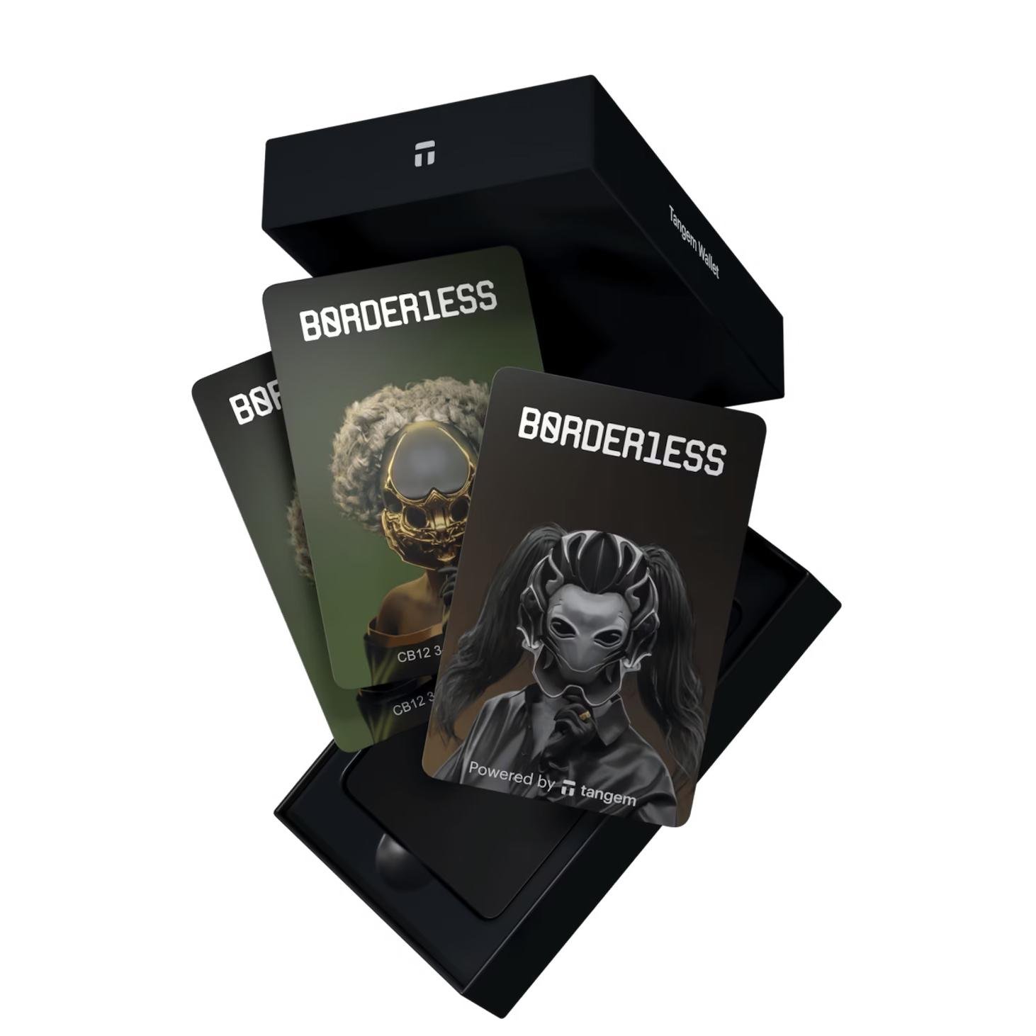 Кошелек для криптовалют Tangem 2.0 x B0RDER1ESS 3 карты (TG-BLESS)