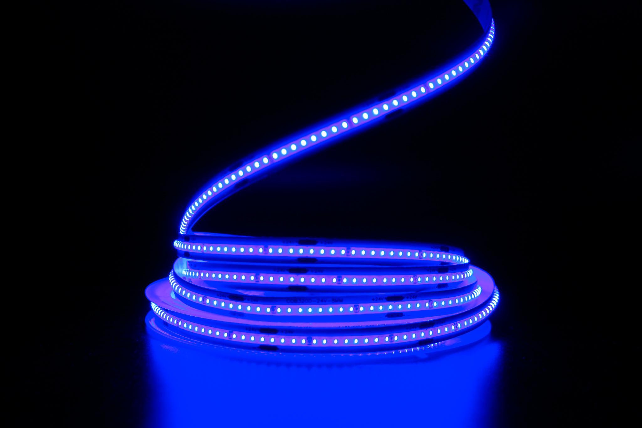 Світлодіодна стрічка Prolum СОВ 320LED IP20 Series-PRO 24V Синій (28748735) - фото 2 Світлодіодна стрічка Prolum СОВ 320LED IP20 Series-PRO 24V Синій (28748735) - фото 2