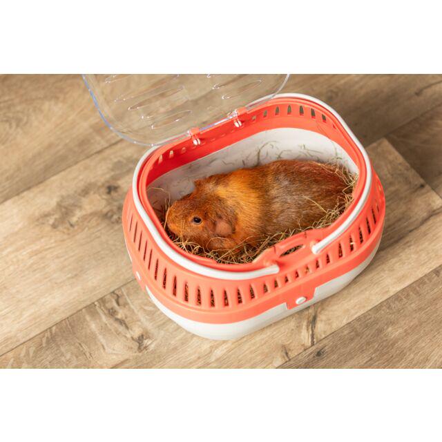 Бокс для перевозки Trixie Pico для грызунов 23х16х17 см (TX-5903) - фото 2 Бокс для перевозки Trixie Pico для грызунов 23х16х17 см (TX-5903) - фото 2