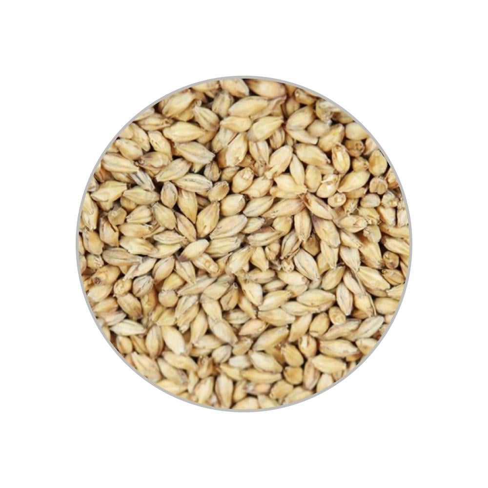 Солод светлый Bohemian Pilsner EBC 3-5 1 кг