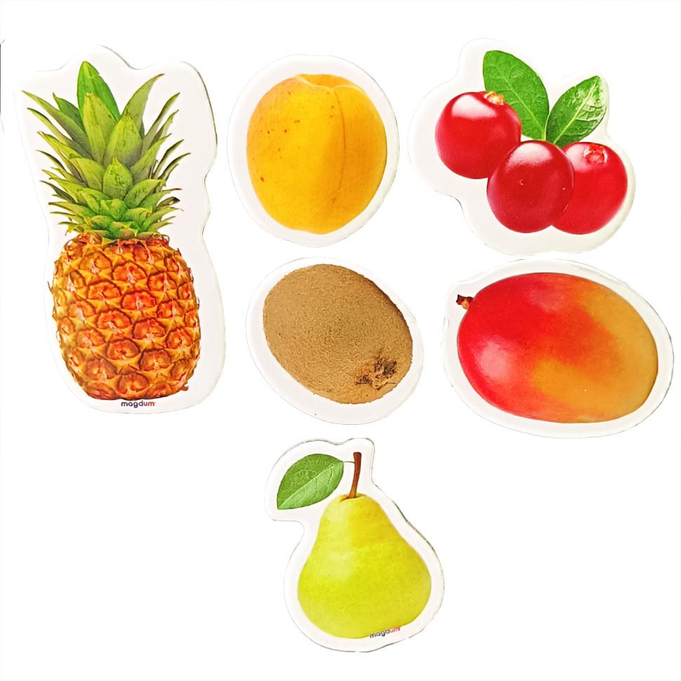 Магниты Magdum Мой день планировки от 3 лет 72 шт. Золотой (ID-173-N-17)