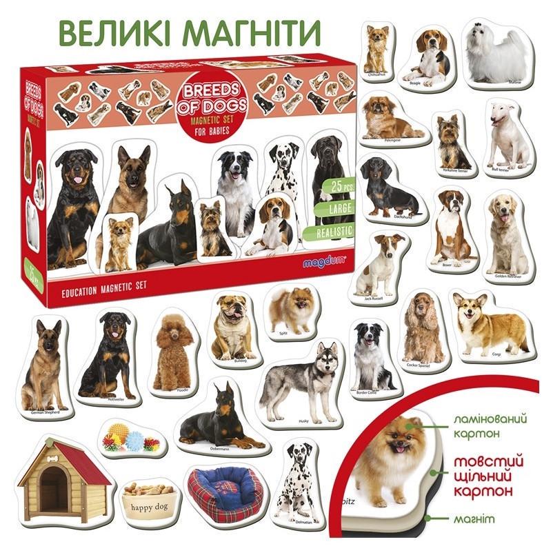 Набір магнітів розвиваючих Magdum Породи собак ML4031-20EN 24 фотомагніти (RLT46568) - фото 5 Набір магнітів розвиваючих Magdum Породи собак ML4031-20EN 24 фотомагніти (RLT46568) - фото 5