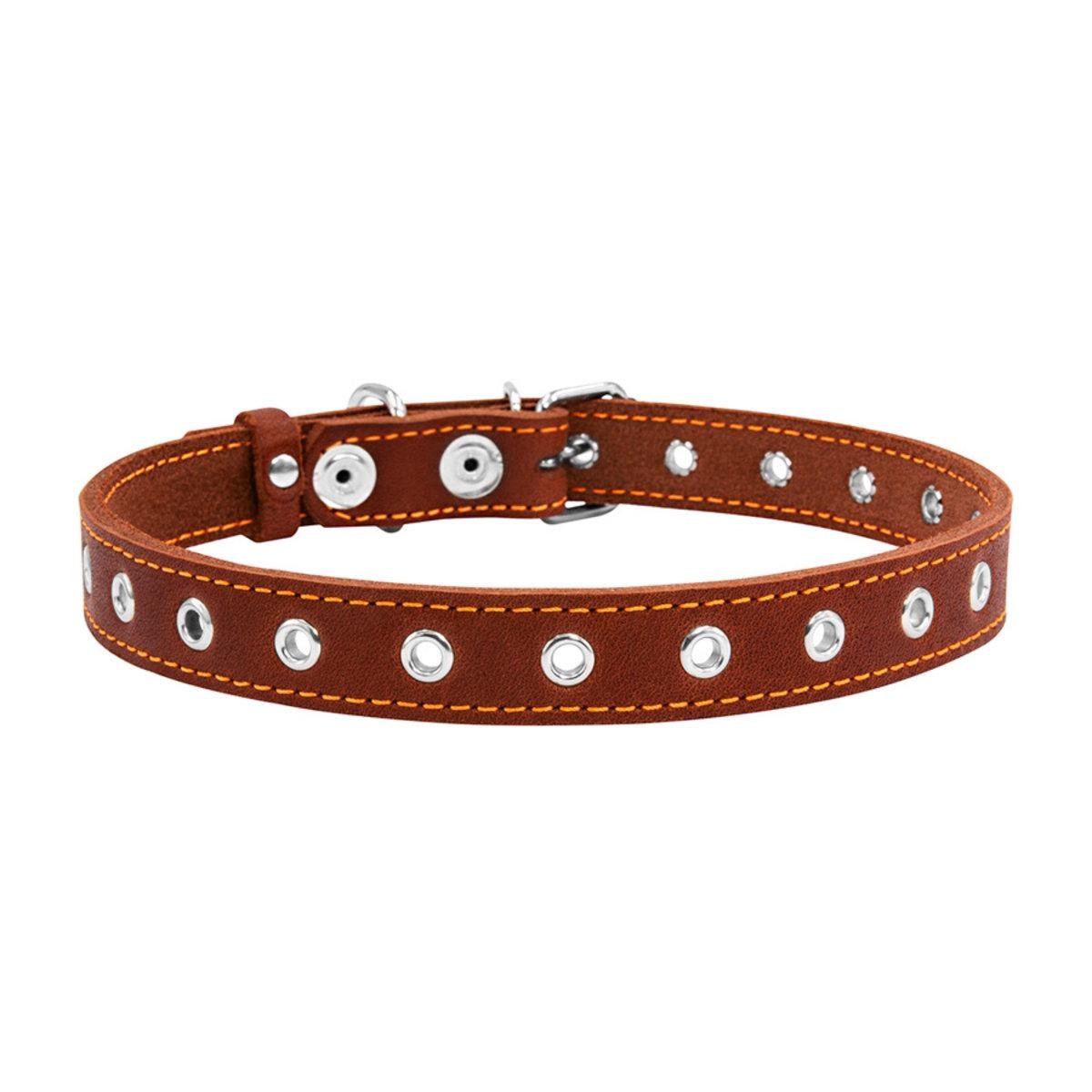 Ошейник Collar безразмерный 20 мм 50 см Коричневый