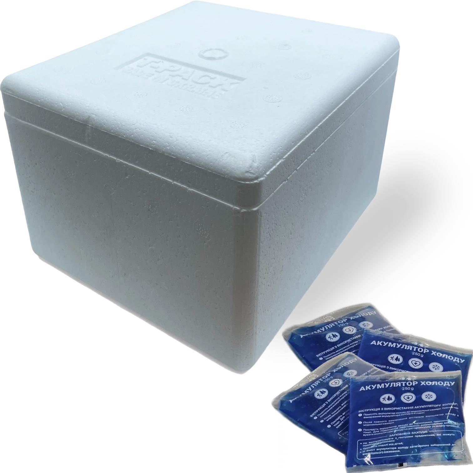 Термоконтейнер 4 л с аккумуляторами холода 4 шт. по 250 мл для перевозки замороженных продуктов/лекарств/еды (906304)