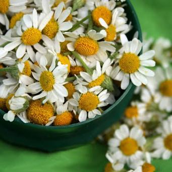 Пахощі Тибетські BA Tibetan Chamomile 12,8x4x4 см Фіолетовий (23155) - фото 4