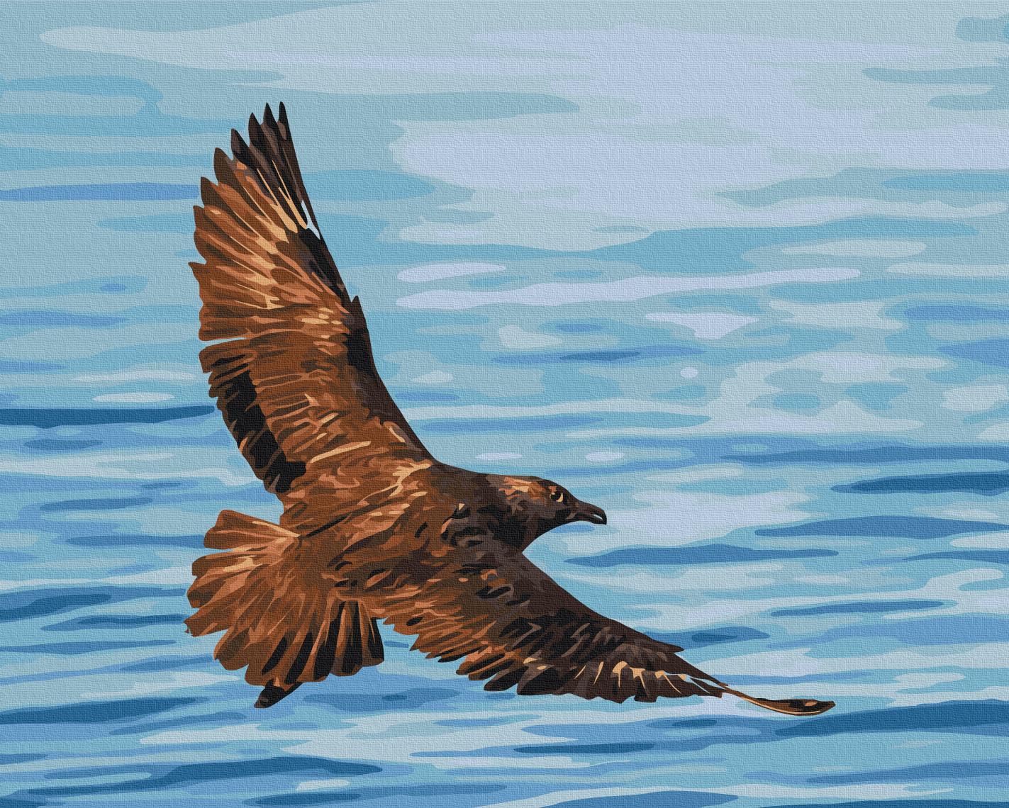 Картина по номерам Brushme Полет южнополярного поморника 40x50 см (BS54269)