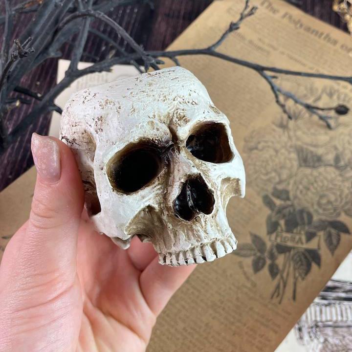 Свічник 5candles Череп Відьми (1529) - фото 3 Свічник 5candles Череп Відьми (1529) - фото 3