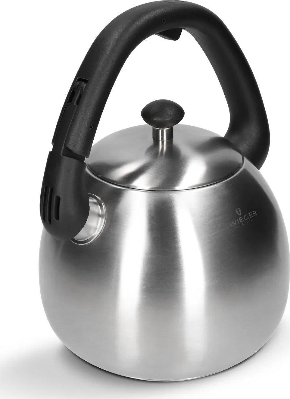 Чайник Zwieger Visionary Steel