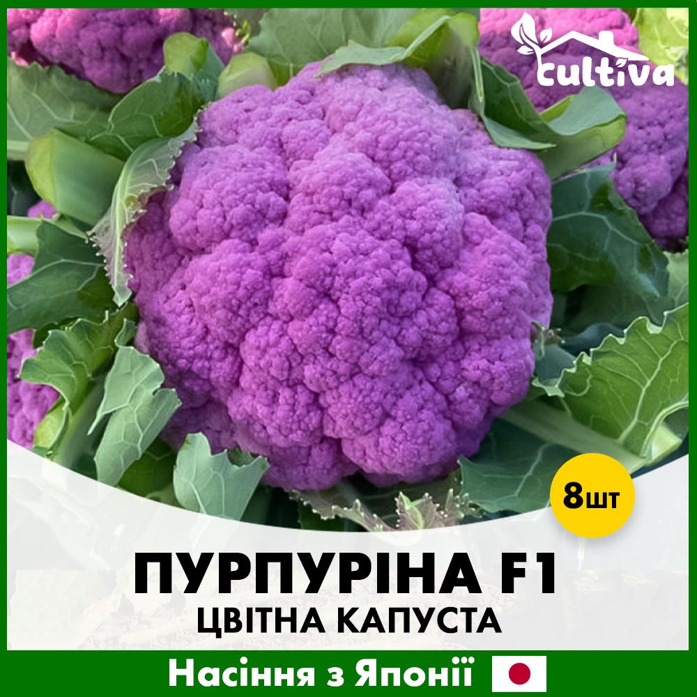 Семена цветной капусты Sakata Пурпурина F1 8 шт. (R51178)