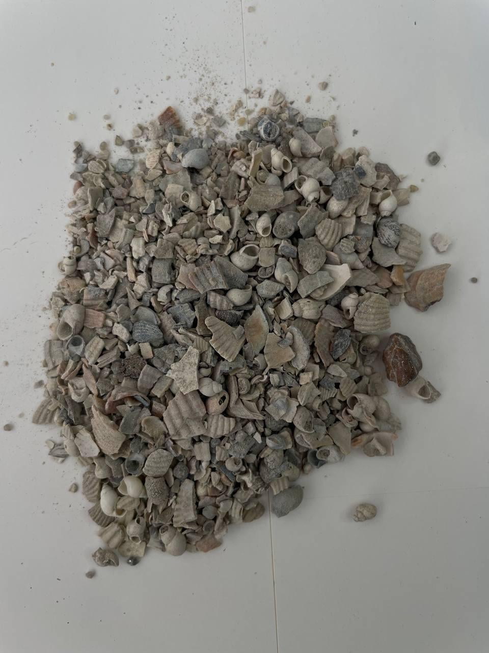 Ракушняк кормовий для птиці 10 кг (22773194)