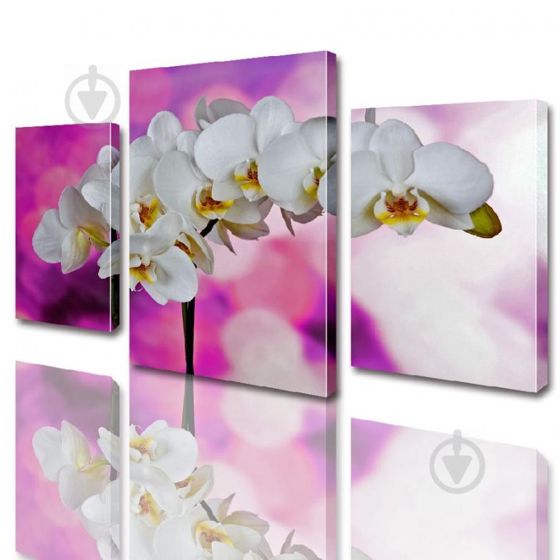 Модульная картина ArtStar цветы Орхидея ADFL0011 размер 70 х 105 см