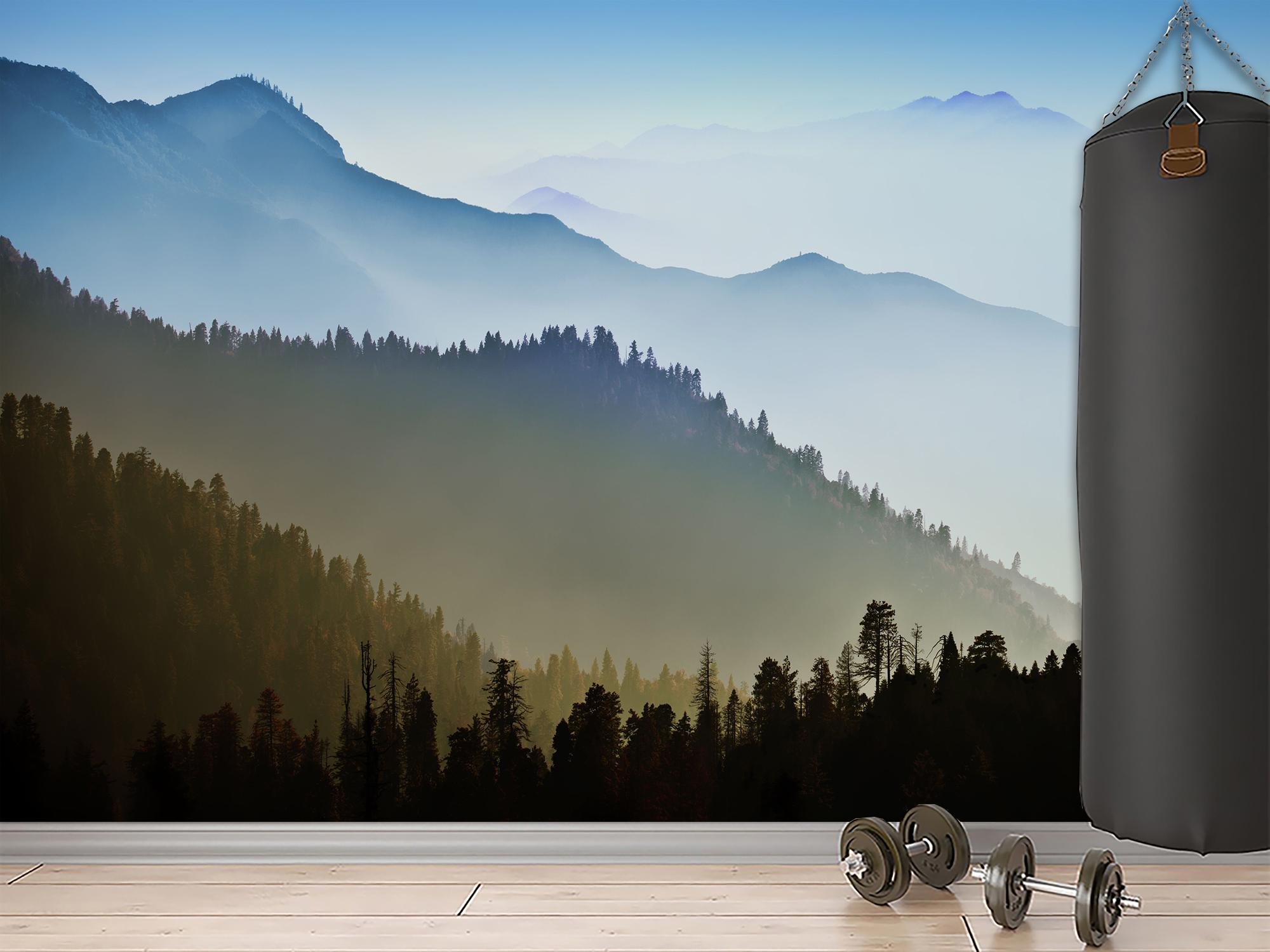 Фотообои флизелиновые Силуэты гор 230х345 см (S5NTR-072/6)