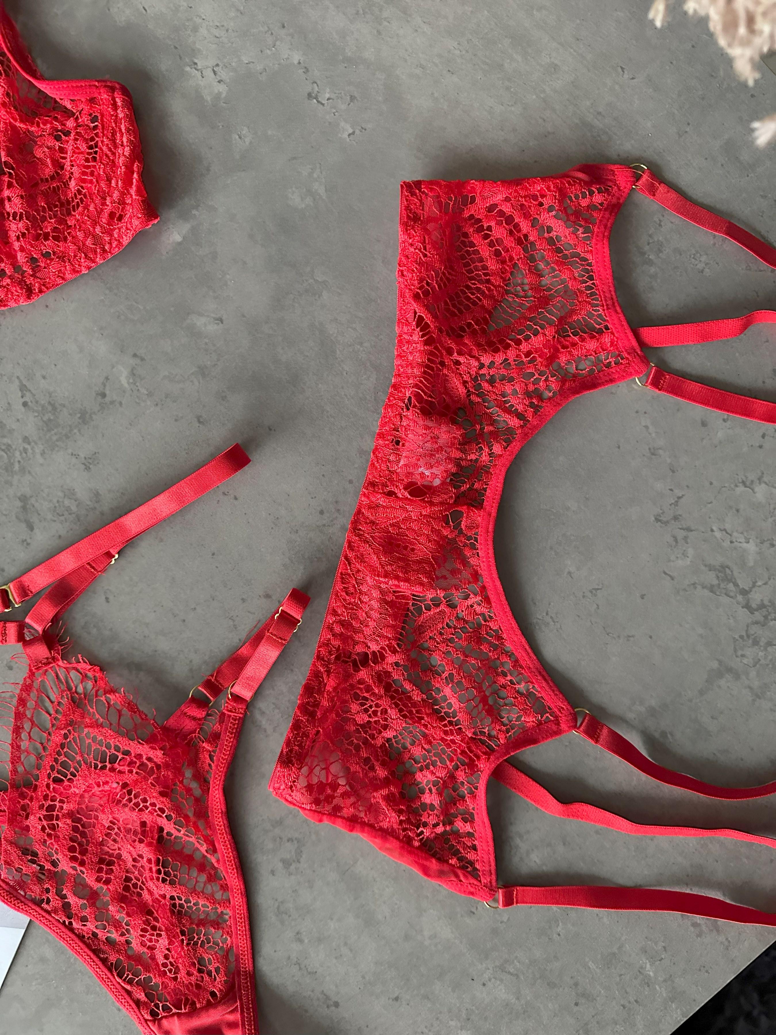 Комплект жіночої білизни Nova Vega бюстгальтери/трусики/пояс/гартери M р. 42-44 Червоний (103-260-1) - фото 9 Комплект жіночої білизни Nova Vega бюстгальтери/трусики/пояс/гартери M р. 42-44 Червоний (103-260-1) - фото 9