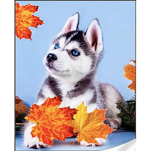 Алмазная мозаика Strateg Премиум Хаски в листьях 30x40 см (Str-HEG86912)
