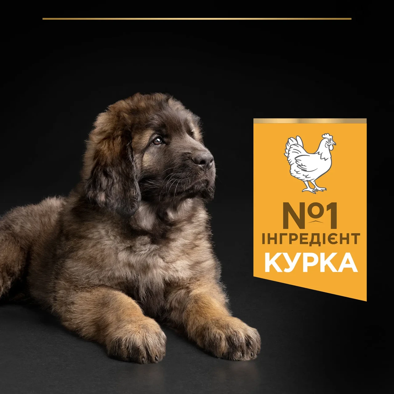 Сухой корм для щенков больших пород Pro Plan Puppy large Robust 12 кг курица - фото 6 Сухой корм для щенков больших пород Pro Plan Puppy large Robust 12 кг курица - фото 6