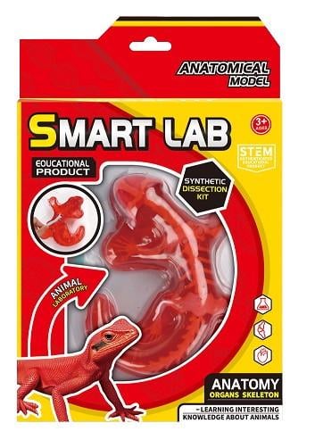 Набір для дослідів Maya Toys Анатомія тварин Ящірка (арт. 803B)