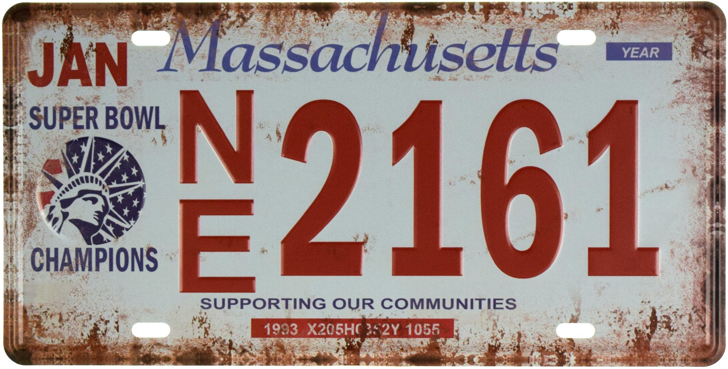 Табличка металлическая Массачусетс/Massachusetts NE 2161 15x30 см