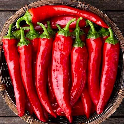 Семена Перець Florium гострий Полум'я (12244)