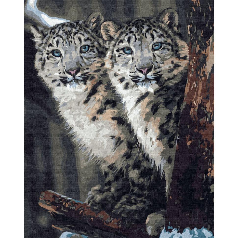 Картина по номерам Идейка Скрытое наблюдение 40х50 см (KHO4311)