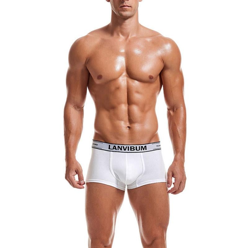 Трусы Lanvibum M Белый (7476)