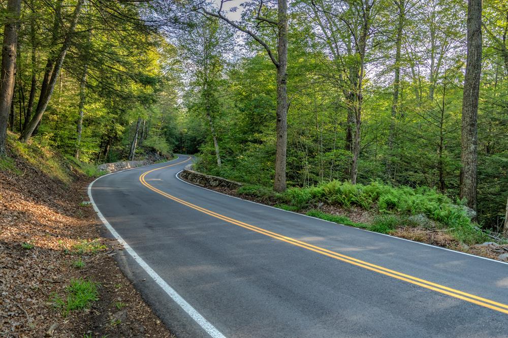 Картина Природа PR209 55х85 см