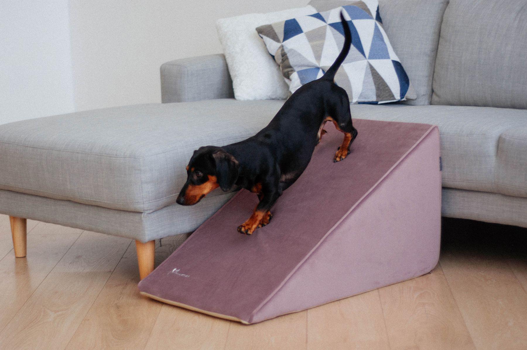 Пандус для Собак Haustier Powder 78х45х42см (R3-1-028) - фото 8 Пандус для Собак Haustier Powder 78х45х42см (R3-1-028) - фото 8