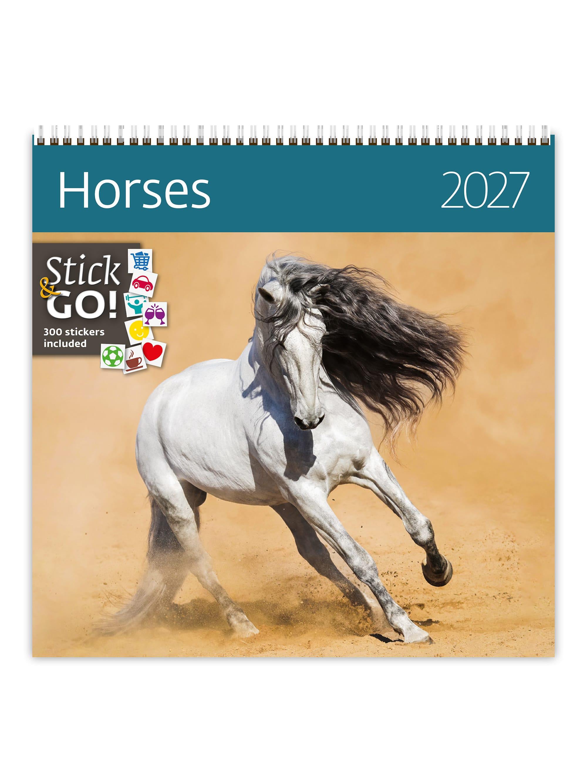 Календар настінний 2027 HELMA Horses 30х30 см (LP03-27) Календар настінний 2027 HELMA Horses 30х30 см (LP03-27)