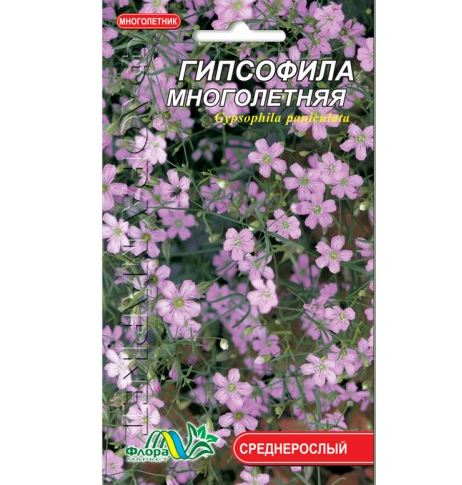 Насіння Гіпсофіла багаторічна Рожевий середньоросла 0,1 г (26041)