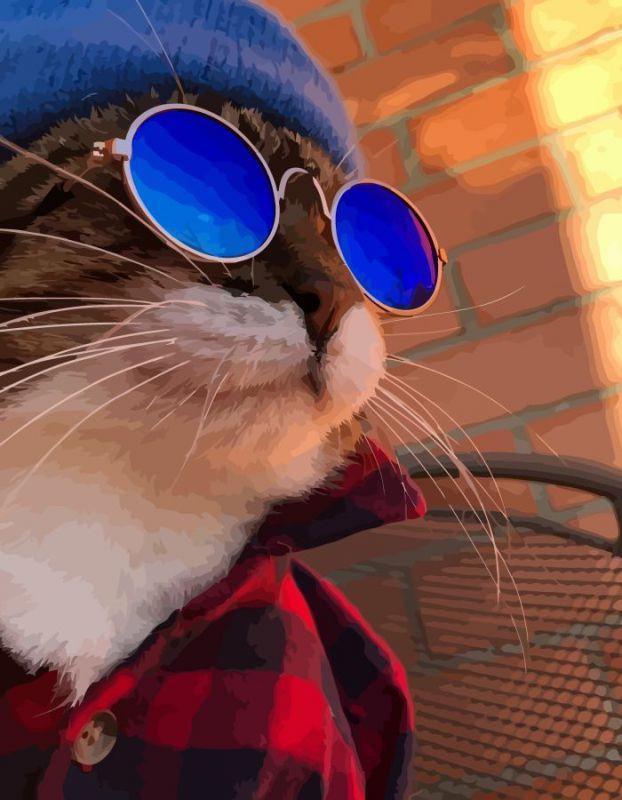 Картина по номерам Rosa Кот в очках 35х45 см (N00013217)