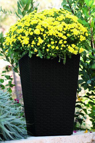 Горщик для рослин Keter Rattan Planter M 55,4 л (7290103659271) - фото 2