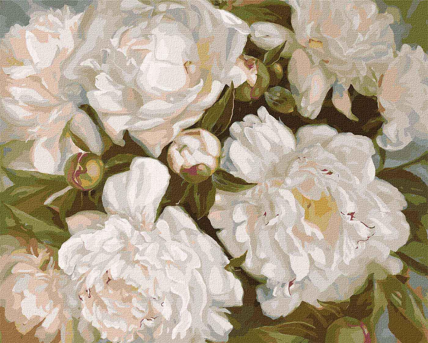 Картина по номерам Идейка Белоснежная красота 40x50 см (KH2985)