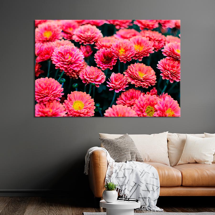 Картина цветы и растения Розовые хризантемы 51x34 см (A1002-1)