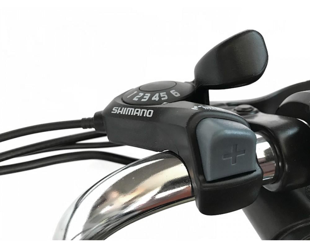 Электровелосипед дорожный трехколесный Kelbbike 24" 500W+PAS (00258258) - фото 7 Электровелосипед дорожный трехколесный Kelbbike 24" 500W+PAS (00258258) - фото 7