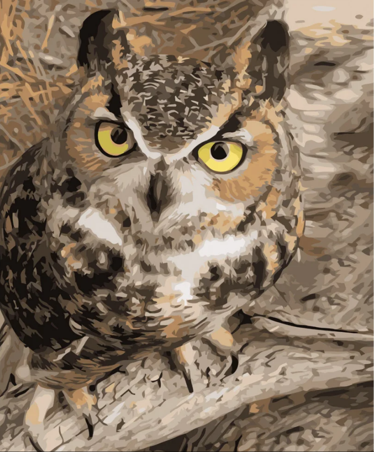 Картина по номерам Strateg Взгляд мудрости 40x50 см (VA-3597) Картина по номерам Strateg Взгляд мудрости 40x50 см (VA-3597)