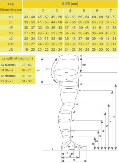 Компрессионные гольфы Ersamed ERSA-505 6 закрытый носок 1-й класс 18-22 мм р.с. - фото 3