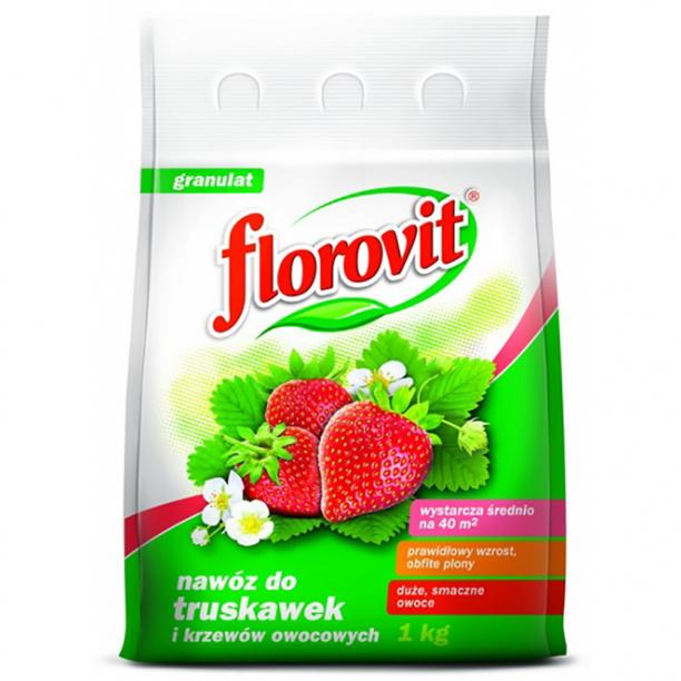 Удобрение Florovit для клубники 1 кг (11548291)